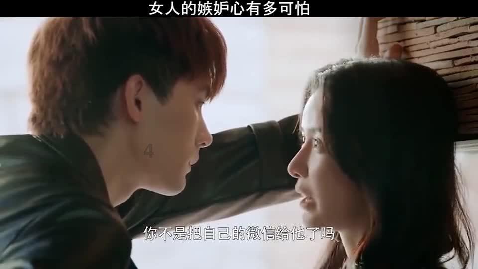 动物拼一拼